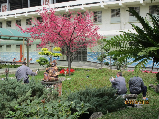 107年3月櫻花寫生比賽情形1